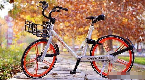 揭秘山東出行習慣 為何這些城市的自行車文化悄然消失